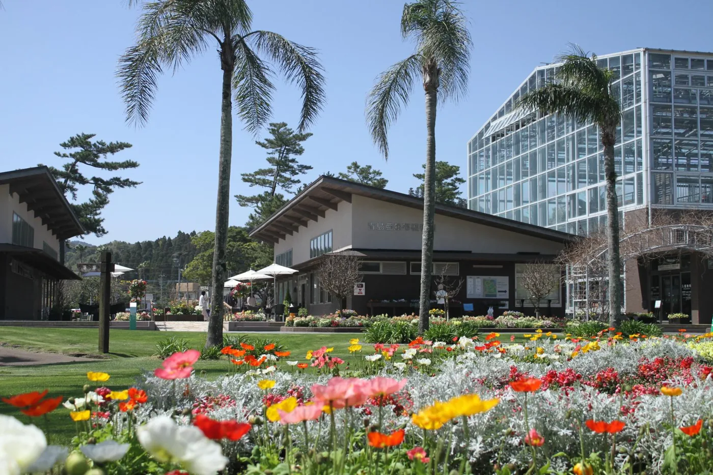 Jardín botánico de Aoshima y su invernadero, fotografía de Visit Miyazaki.
