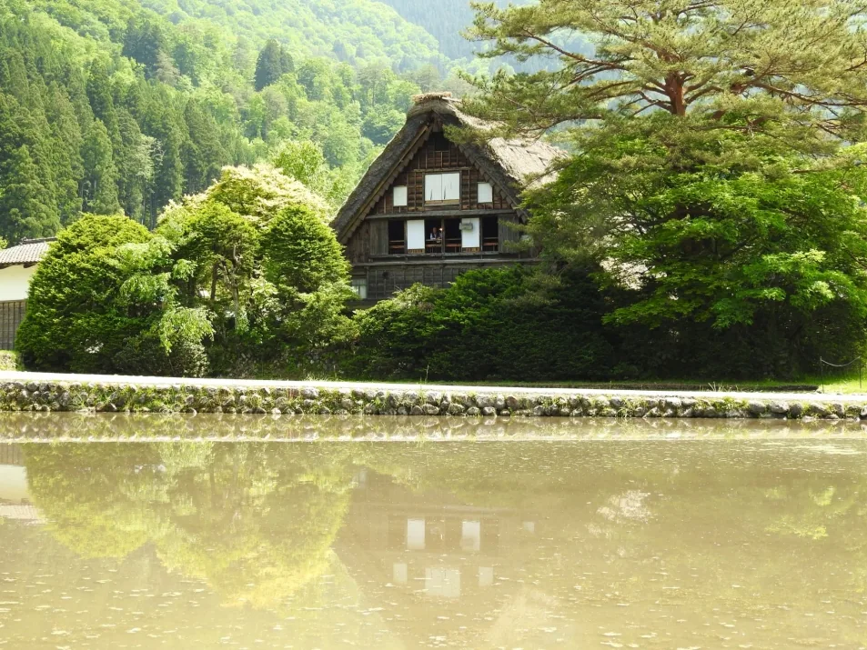 Cubierta de paja y estructura de madera de la casa Wada en Shirakawa-go