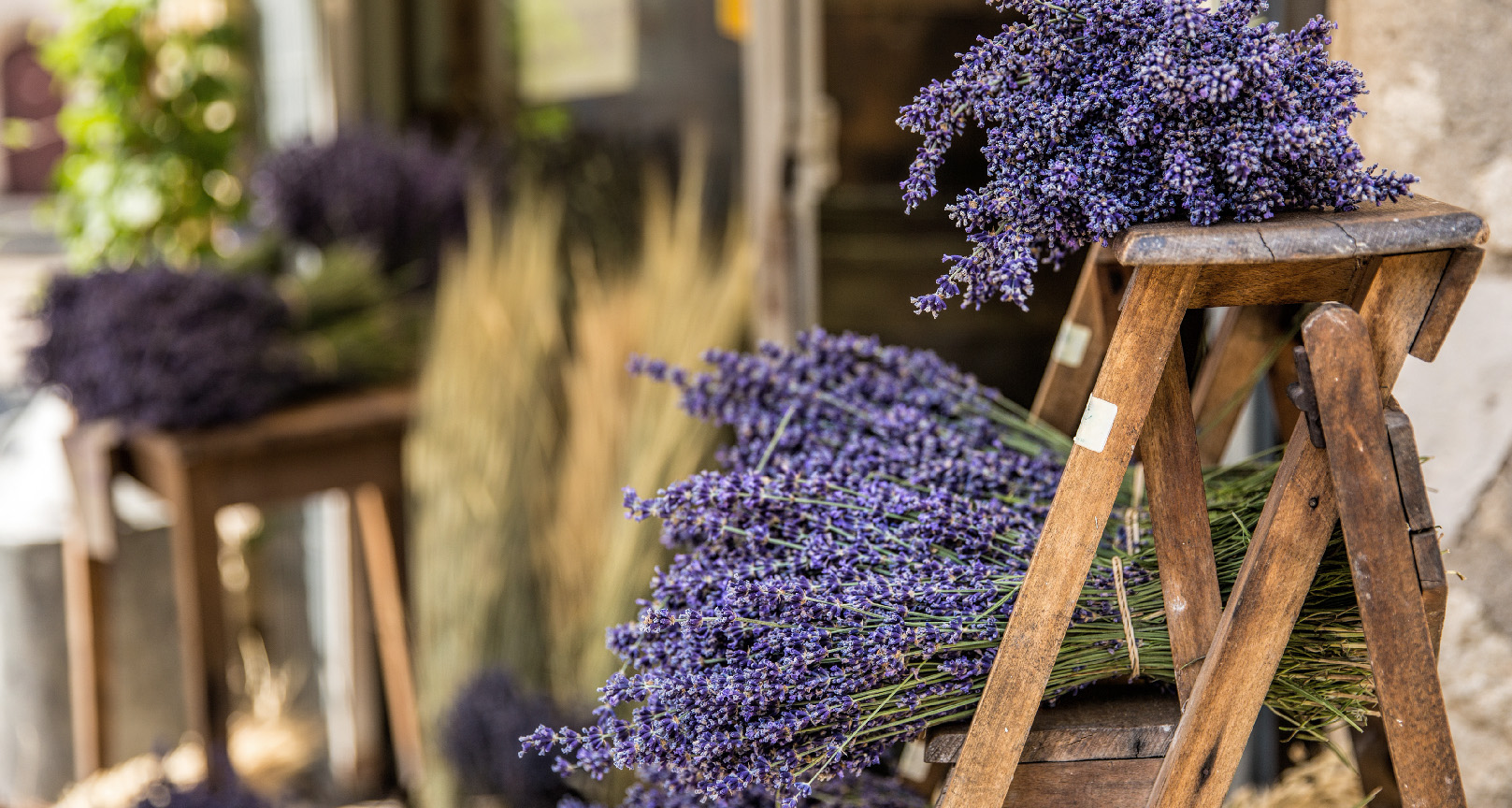 France Off the Beaten Path Tours