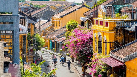 BestPrice Travel