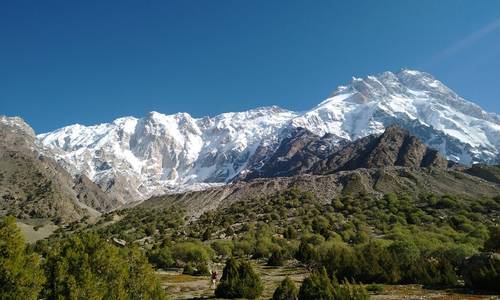 The Mountain Company