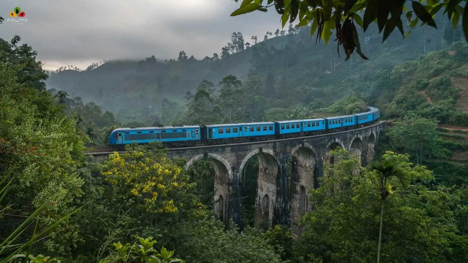 Aaliya Tours