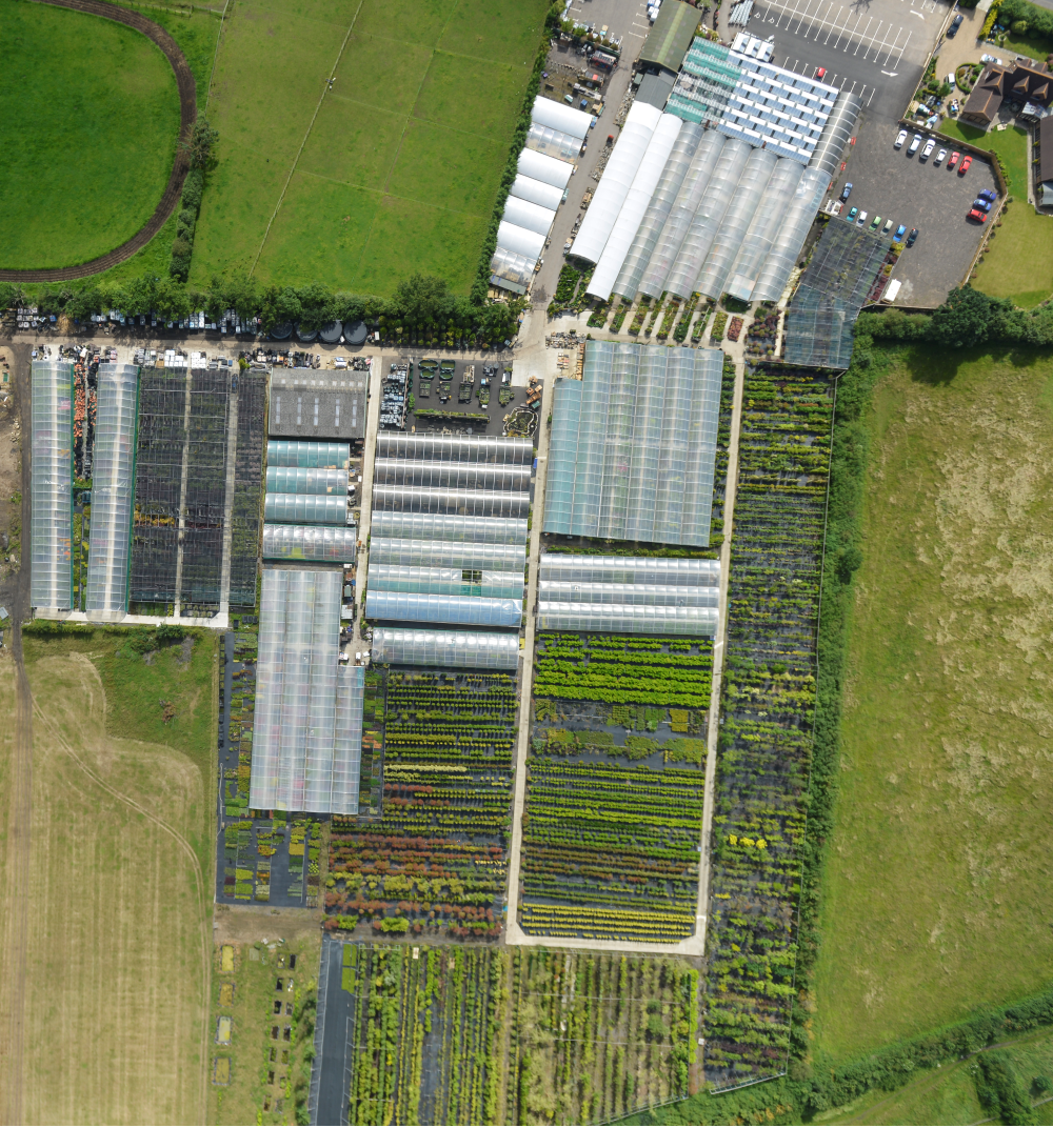 Oaktree Garden Centre
