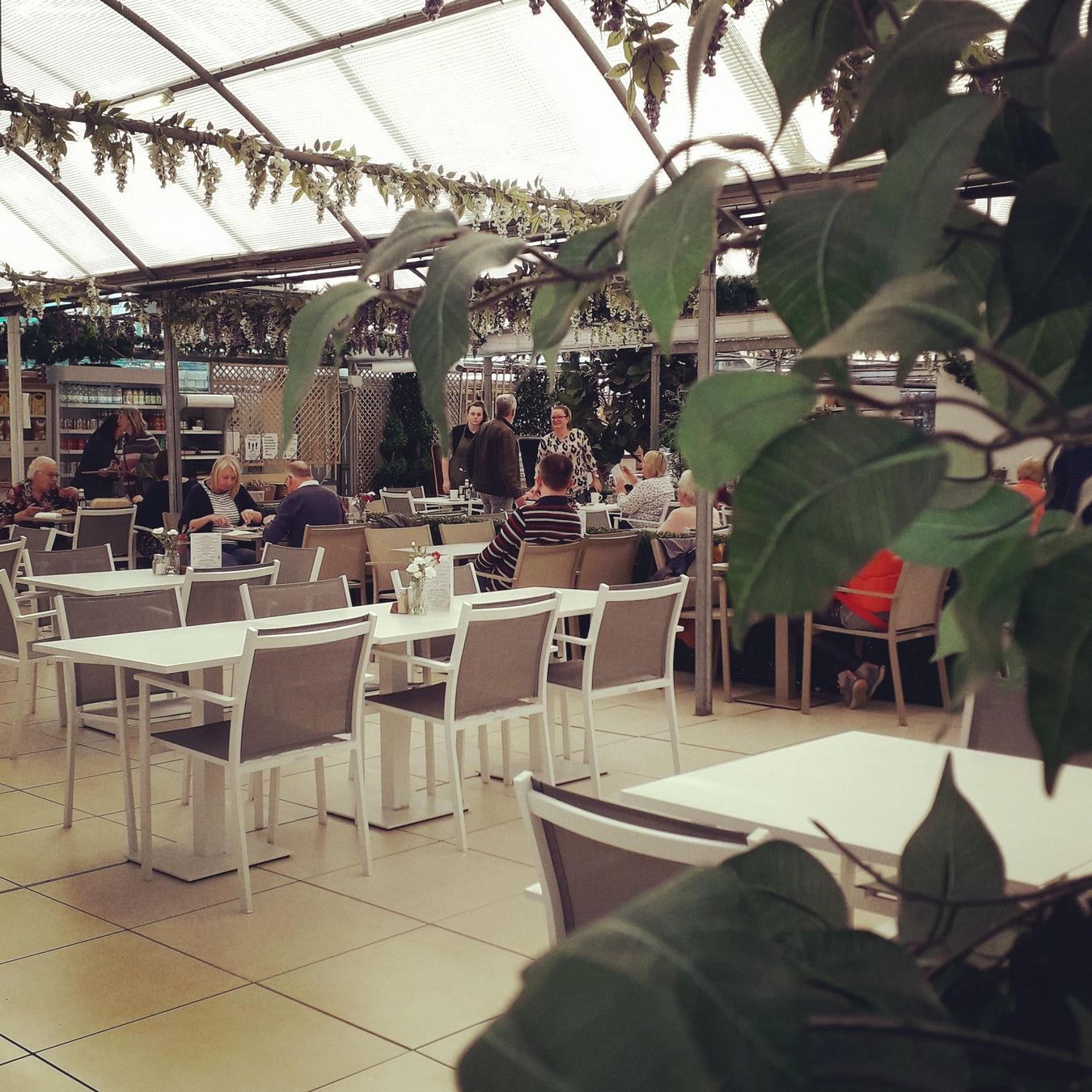 Oaktree Garden Centre