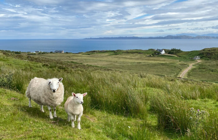 Private Tours Ireland