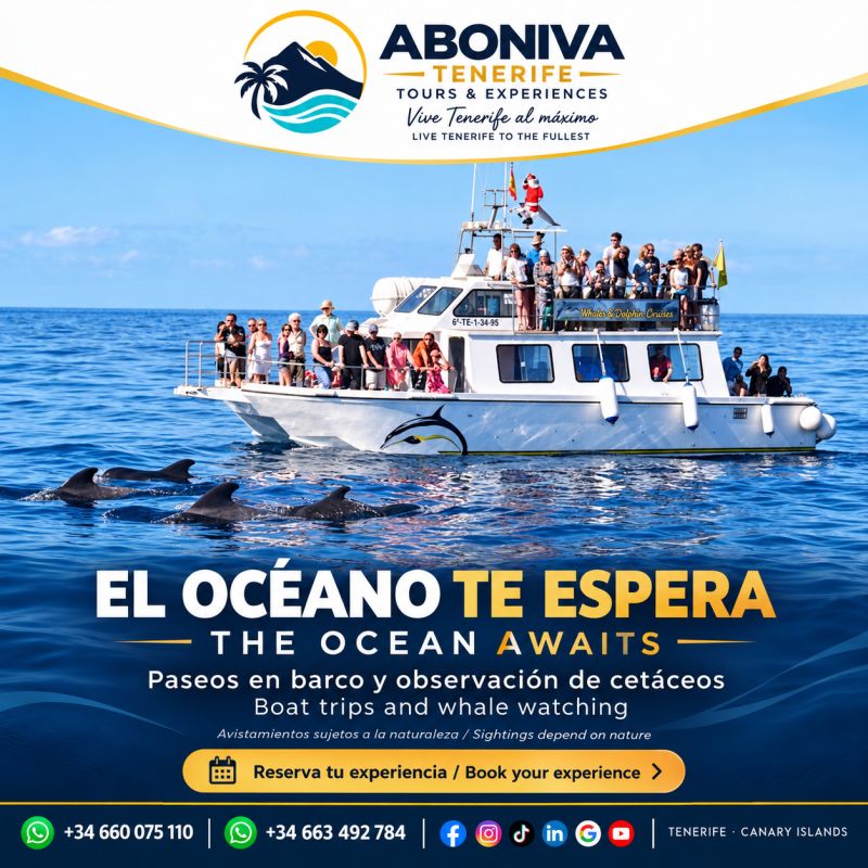 Imagen promocional de ABONIVA de una salida en barco frente a Los Gigantes con delfines