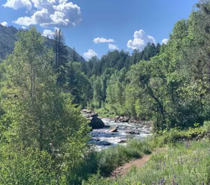 Caminata de naturaleza por el área de Roaring Fork