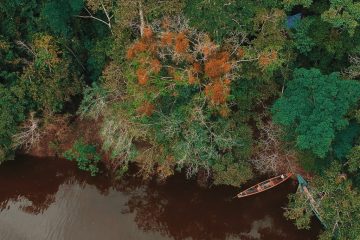 Excursión a la laguna El Dorado en la Reserva Nacional Pacaya Samiria, foto oficial