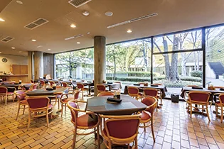 Café Suiren, cafetería con vistas al patio del museo en Ueno