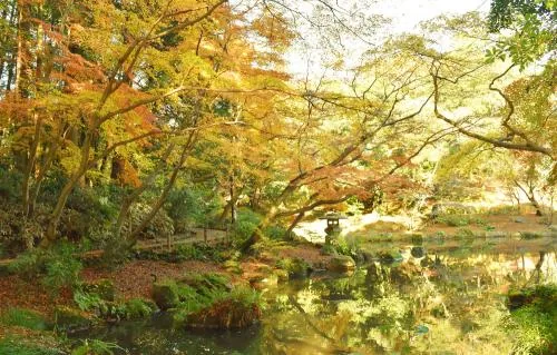 Naritasan park.