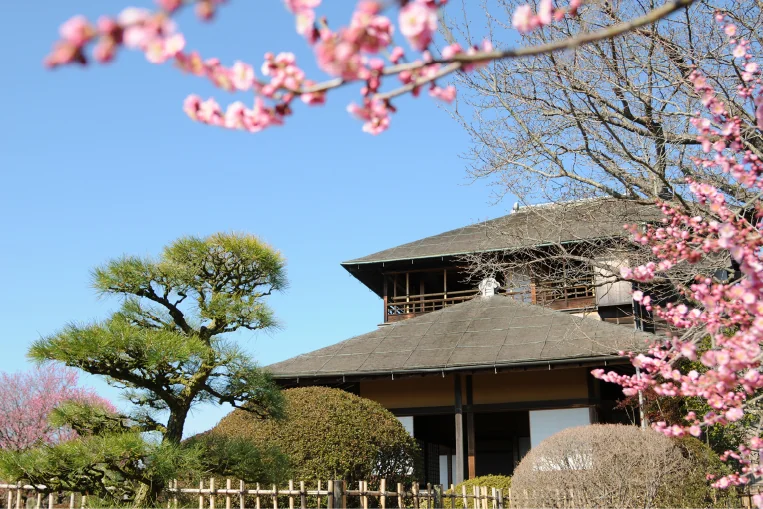 Sendero ajardinado de Kairakuen, uno de los Tres Grandes Jardines de Japón.