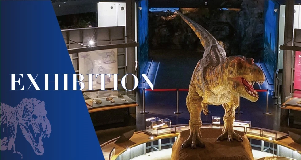 Exposición interior del Museo de Dinosaurios de Fukui con una reconstrucción de tiranosaurio
