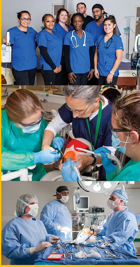 Collage oficial de estudiantes en prácticas de enfermería, odontología y tecnología quirúrgica