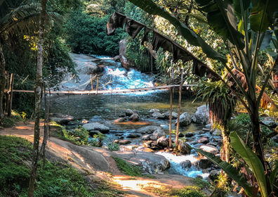 Paraty Experience: foto oficial de una excursión en la región