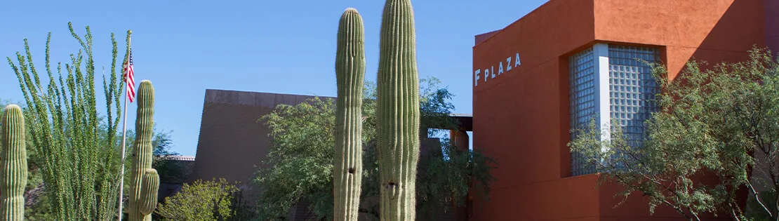Pima Community College Desert Vista Campus, building and Sonoran desert landscaping