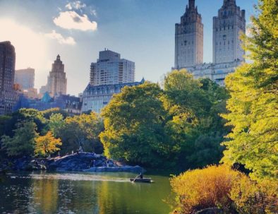 Vista de Central Park durante un recorrido guiado de Real New York Tours