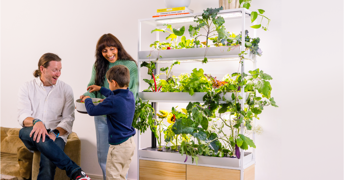 Sistema de cultivo hidropónico de interior Rise Gardens con plantas