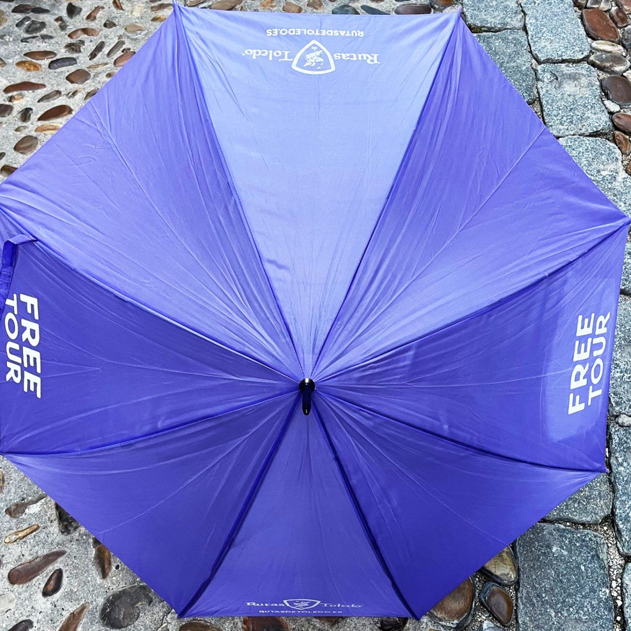 Free Tour diurno con el paraguas morado de Rutas de Toledo