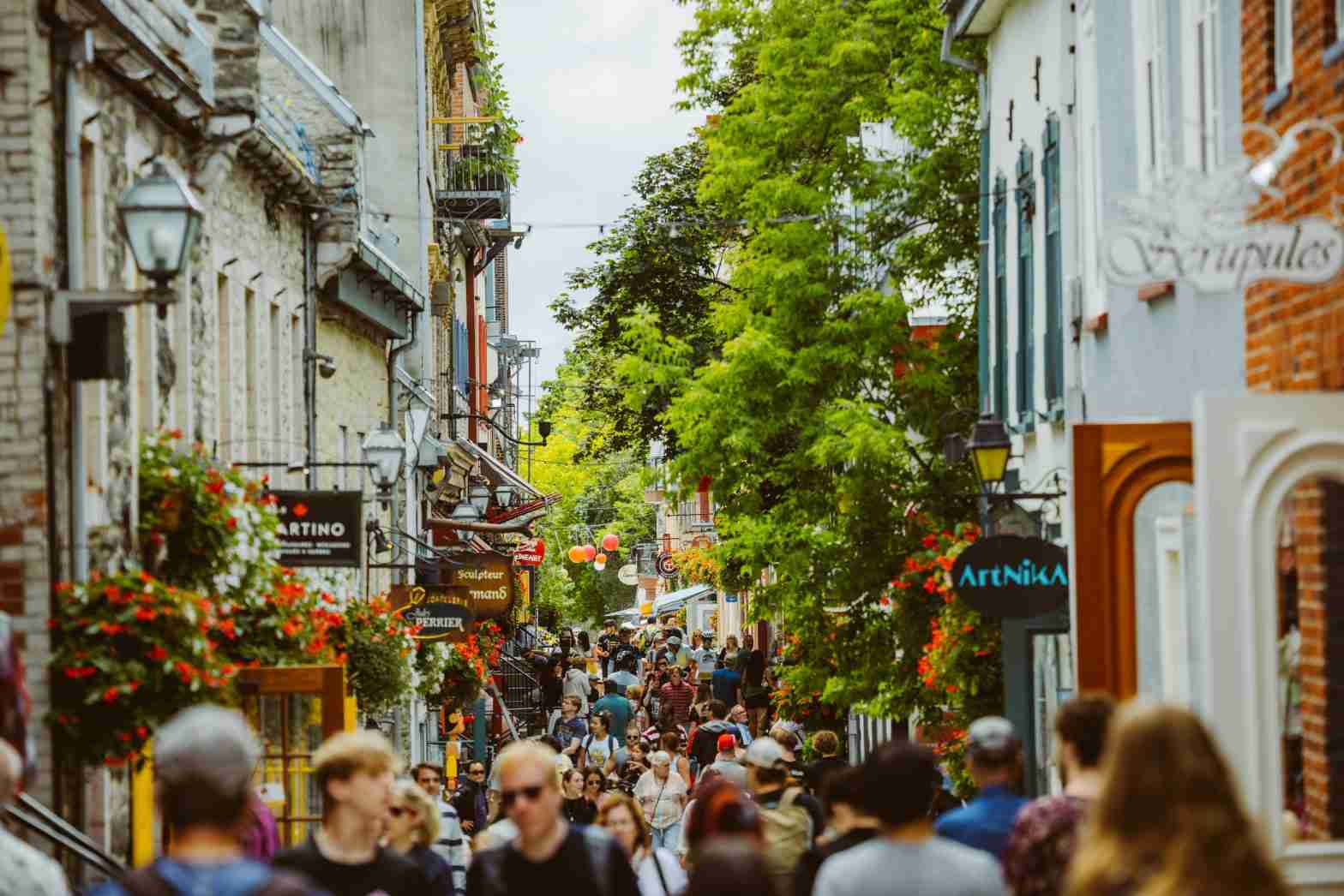 Calle del Viejo Quebec incluida en los paseos a pie de Toonie Tours