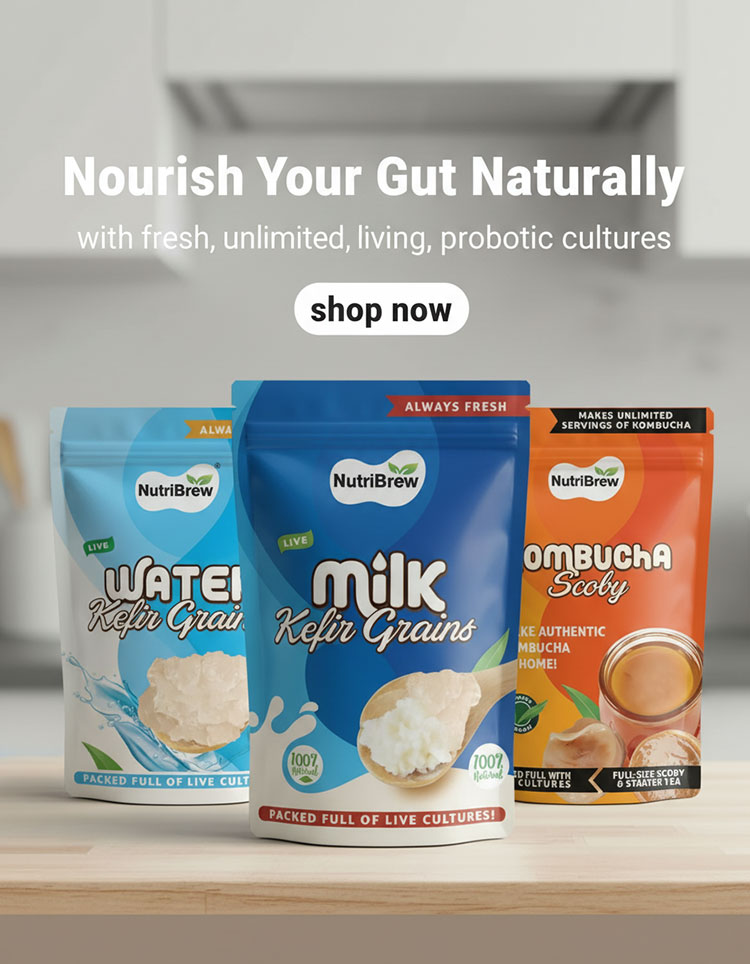 NutriBrew packets of water kefir grains, milk kefir grains and kombucha SCOBY