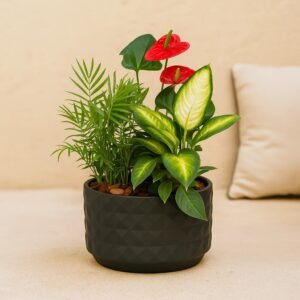 Planta ornamental en maceta del catálogo de Le Céladon / Potted ornamental plant from Le Céladon’s catalog
