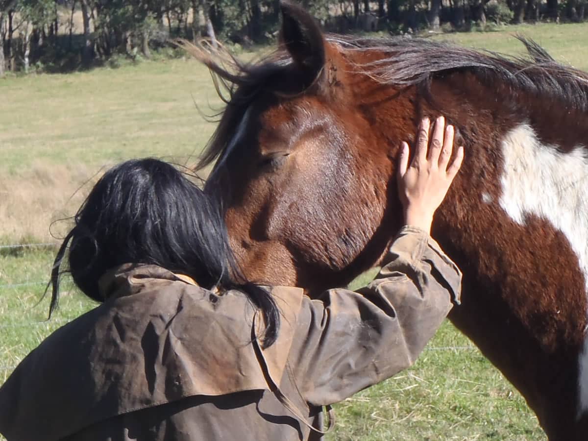 Participante interactúa con un caballo durante una actividad del centro / Participant interacting with a horse during a center activity