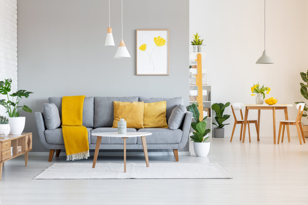 Staged living room in a home marketed by MOV8