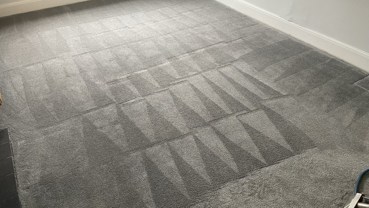 Alfombra limpia con un patrón geométrico tras el servicio de limpieza de Jay's Cleaning.