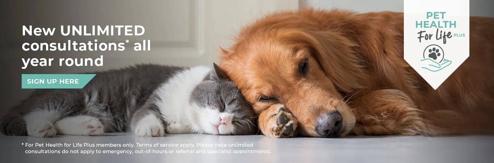 Abbey House Veterinary Hospital with 5 vet practices in Leeds