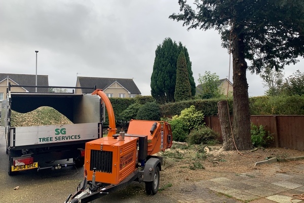 Aberdeen Tree Surgeons | Aberdeenshire Tree Specialists