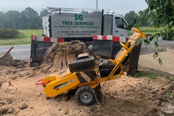Aberdeen Tree Surgeons | Aberdeenshire Tree Specialists