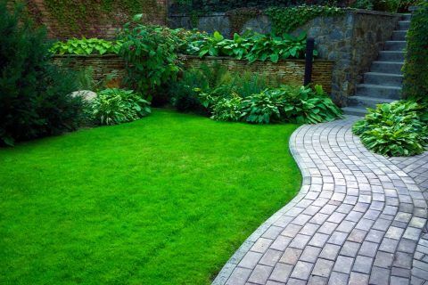 AM Landscapes & Paving