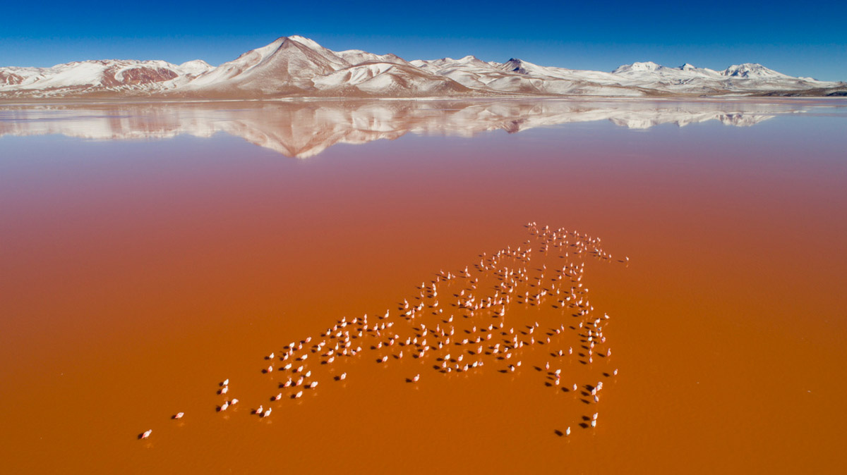 Laguna altoandina con reflejo de montañas, galería de Andes Salt Expeditions