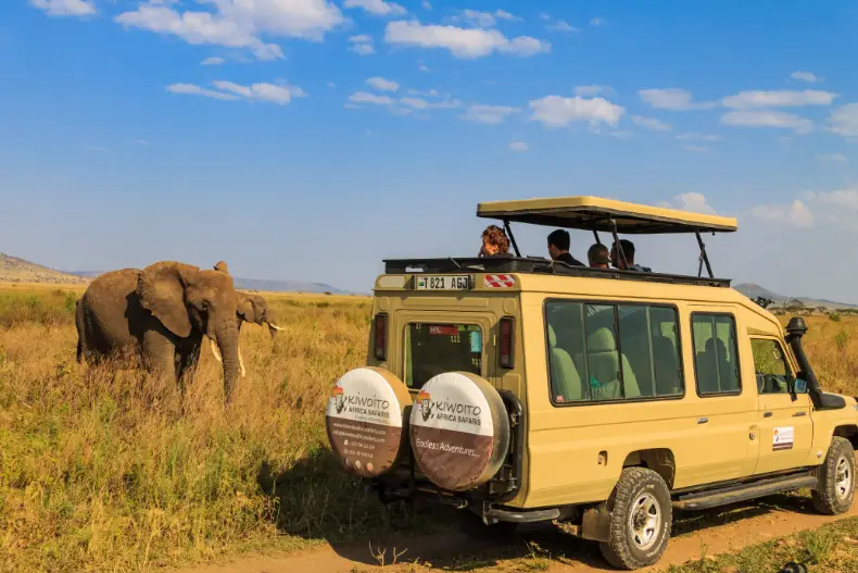 Vehículo de safari de Kiwoito en una ruta entre fauna silvestre, imagen de su catálogo.