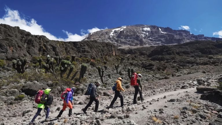 Excursionistas en la ruta de ascensión a Kilimanjaro promocionada por Serengeti African Tours.