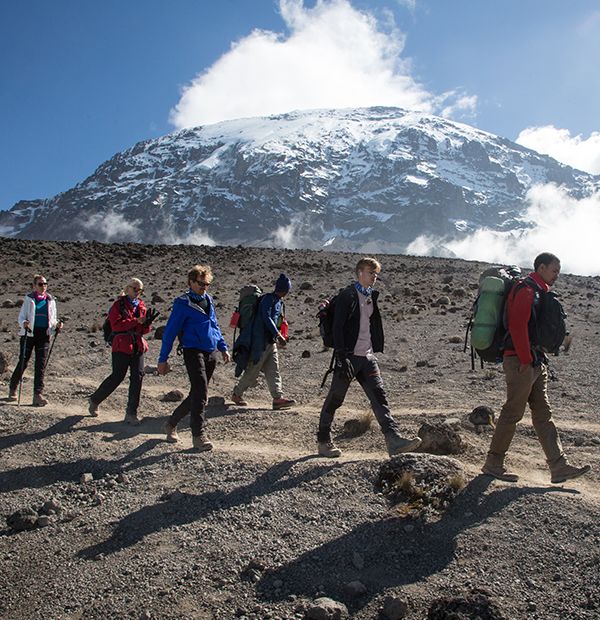 Excursionistas en una ruta de alta montaña en Kilimanjaro, actividad que aparece en el catálogo de Suricata.