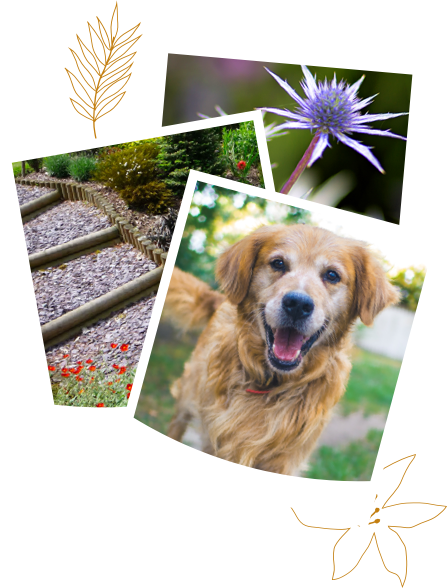 Award Winning Landscape Gardeners Huddersfield | Landscape Creations