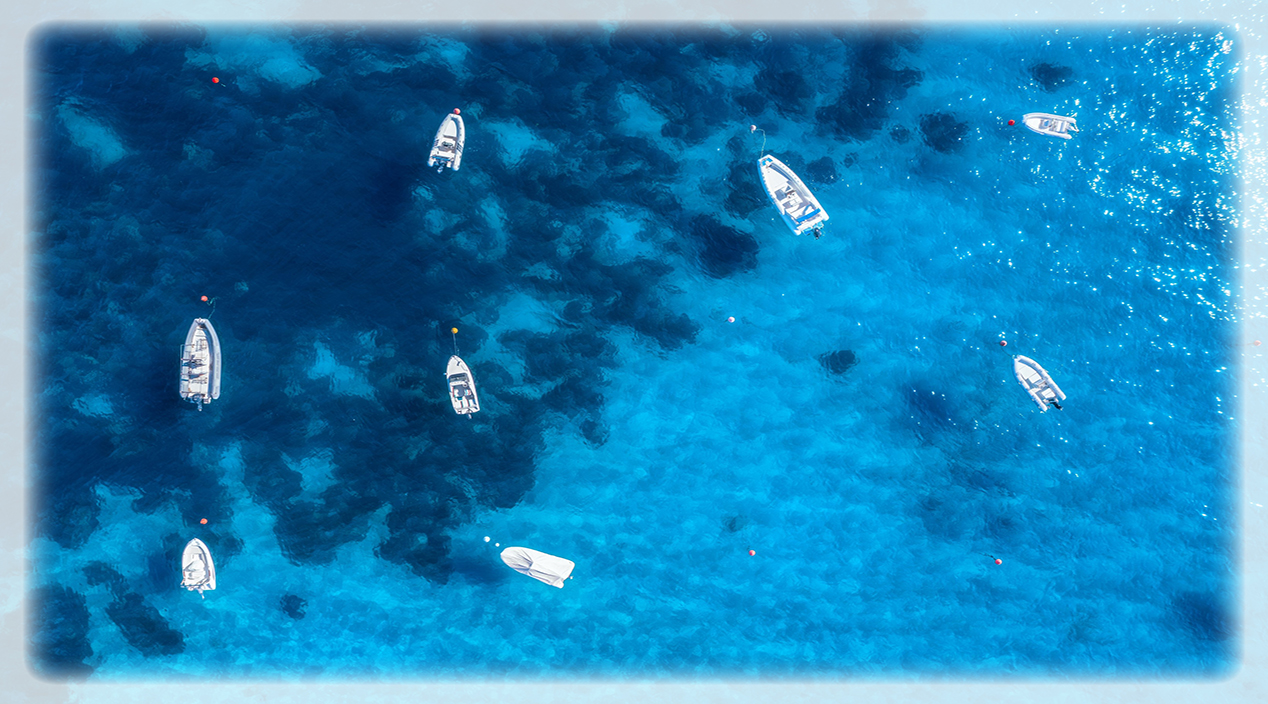 BIBA Travel Insurance