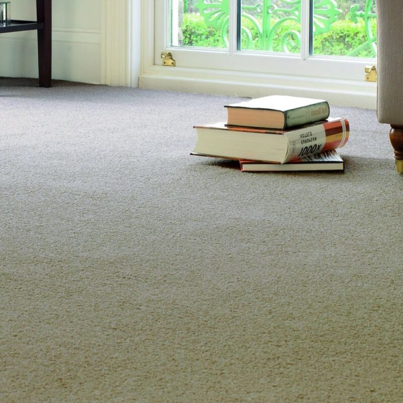 Carpet Monster - Give your feet a treat