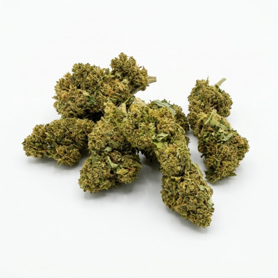 CBD pas cher en France : CBD Discounter