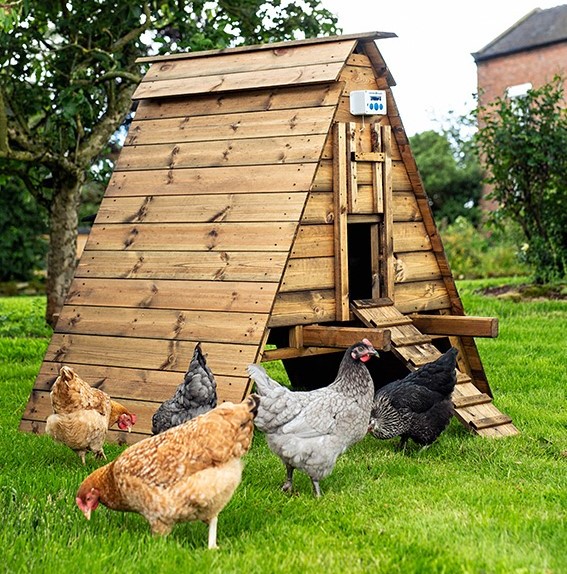 Chicken Houses | Duck and Goose Houses | Goat Shelters - Smiths Sectional Buildings