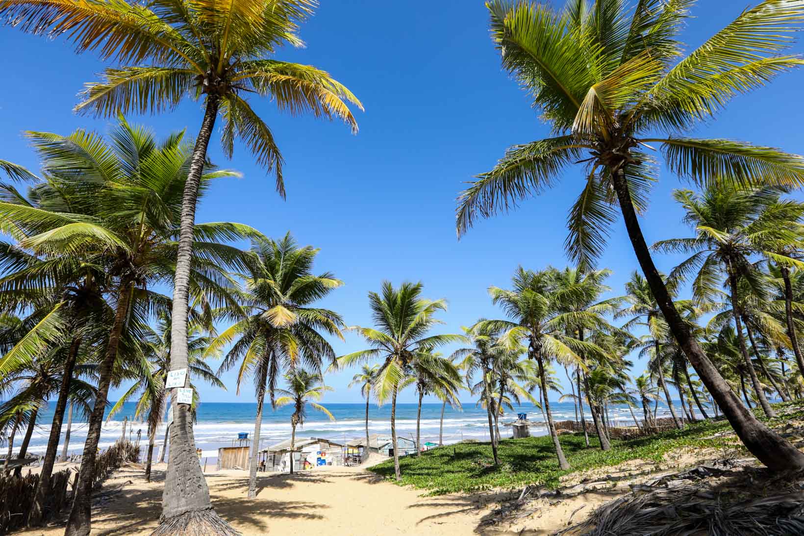 Paisaje de Praia do Forte en una imagen publicada por City Tour Salvador