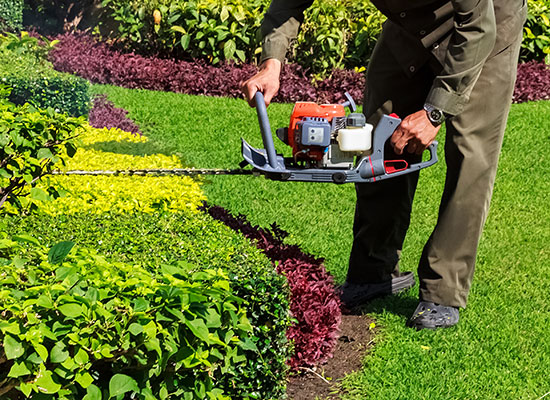 Commercial Landscaping & Maintenance Services Ontario | Essential Landscaping Ltd