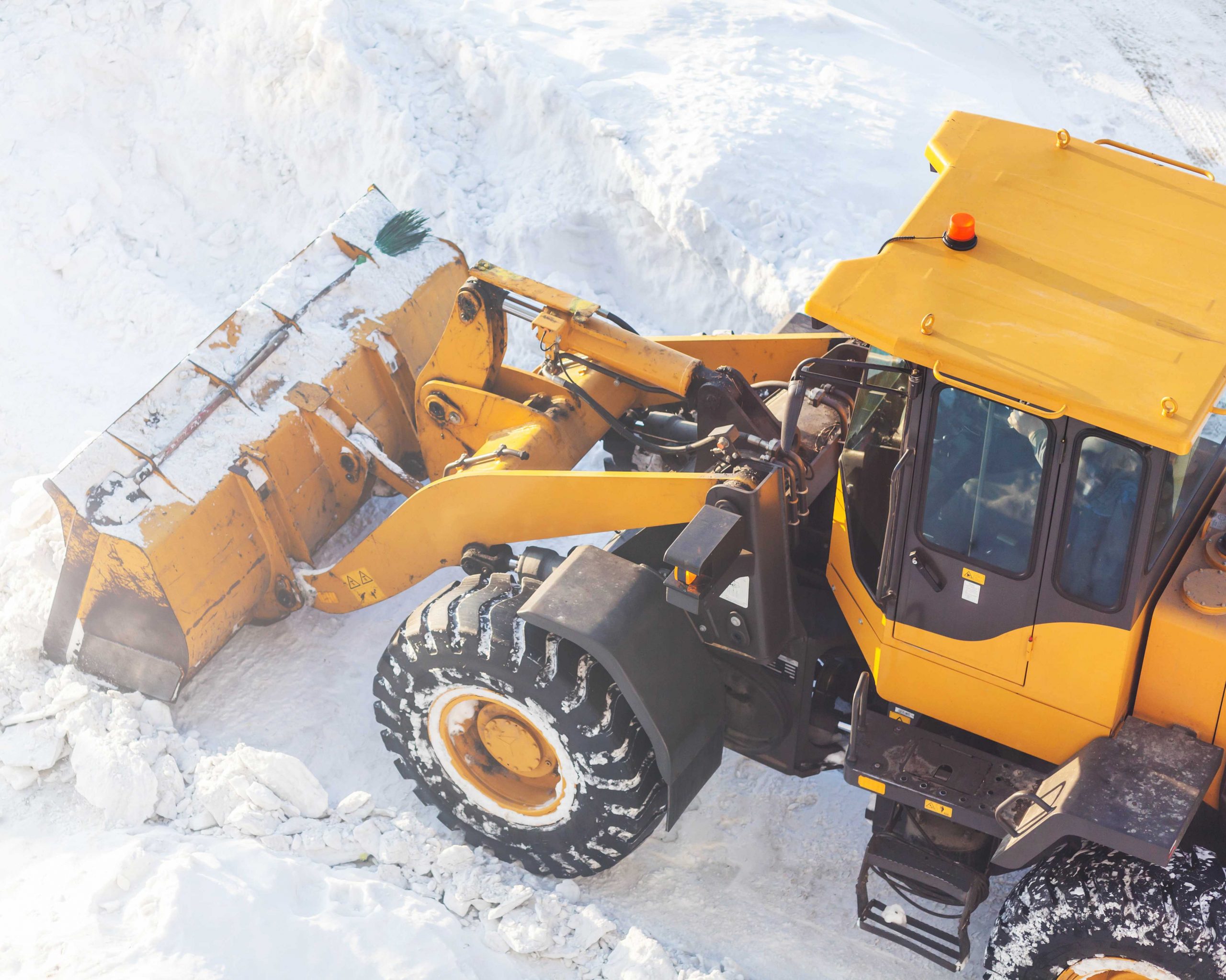 Commercial Landscaping & Maintenance Services Ontario | Essential Landscaping Ltd