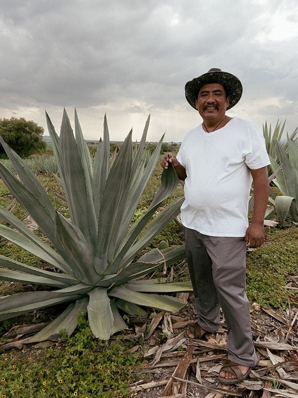 Visita a una plantación de agave vinculada a una experiencia de mezcal de Coyote Aventuras