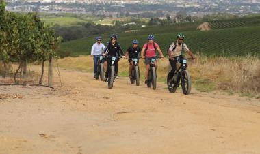 Recorrido en bicicleta eléctrica por los viñedos del Cabo, experiencia del catálogo de African Eagle Day Tours.