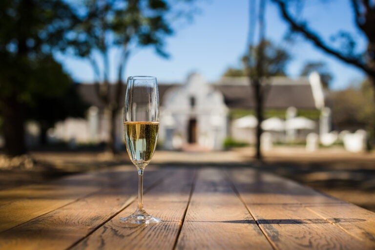 Copa en una finca vinícola del Cabo, escena de una visita a las tierras vinícolas.