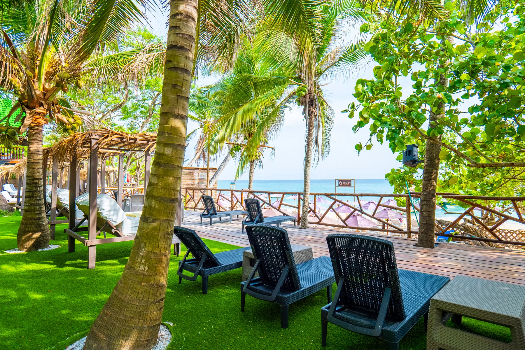 Zona de playa y palmeras en una experiencia insular publicada por IS Cartagena Tours