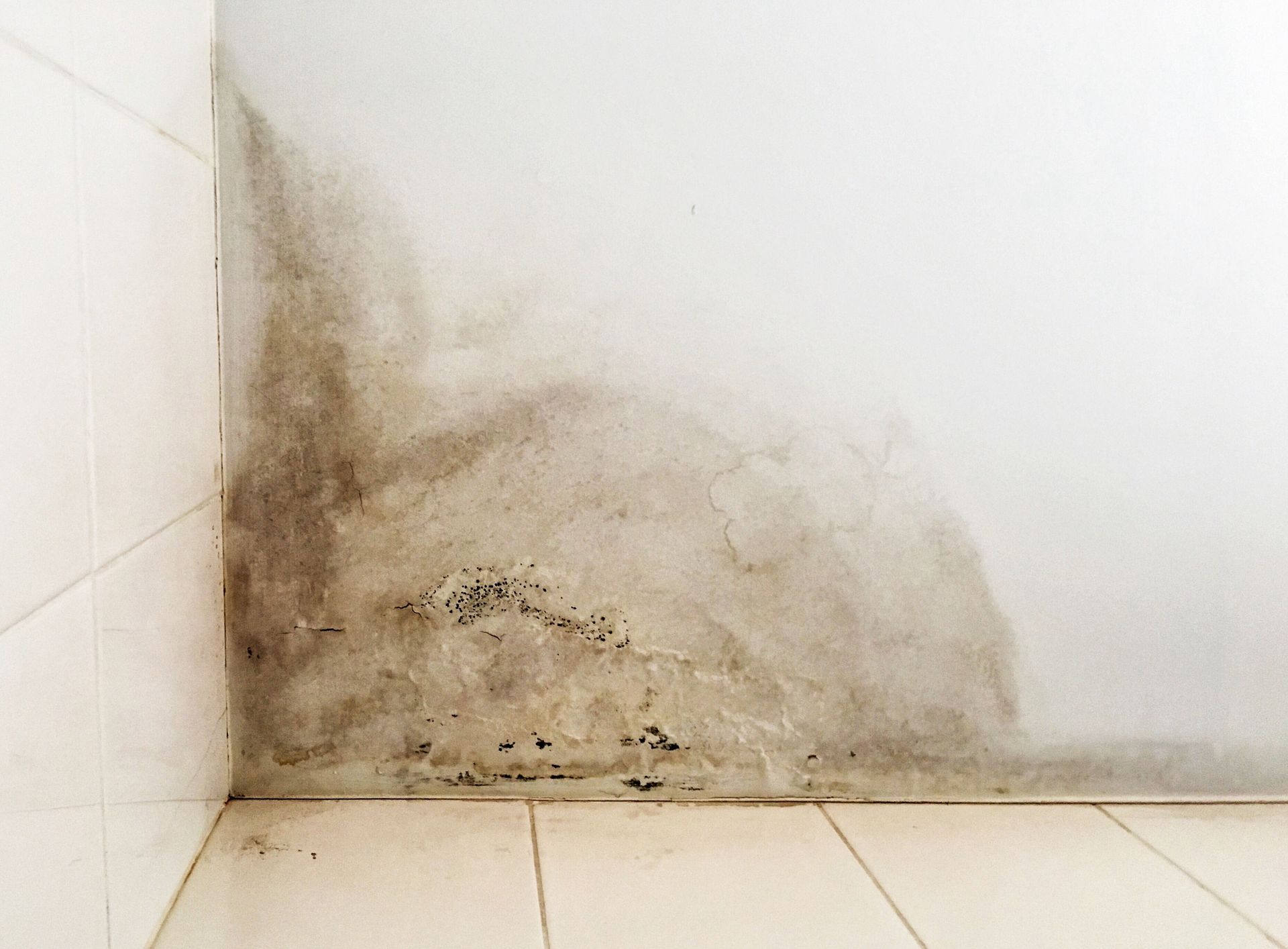 Moisture damage and mould on an interior wall