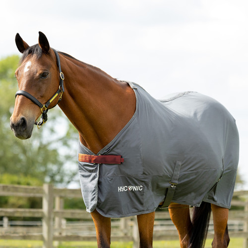 Desirable Equine | Quality Equestrian Goods for Horse & Rider